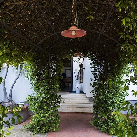 Villa Gio B&B De Charme Montecorice Exteriér fotografie